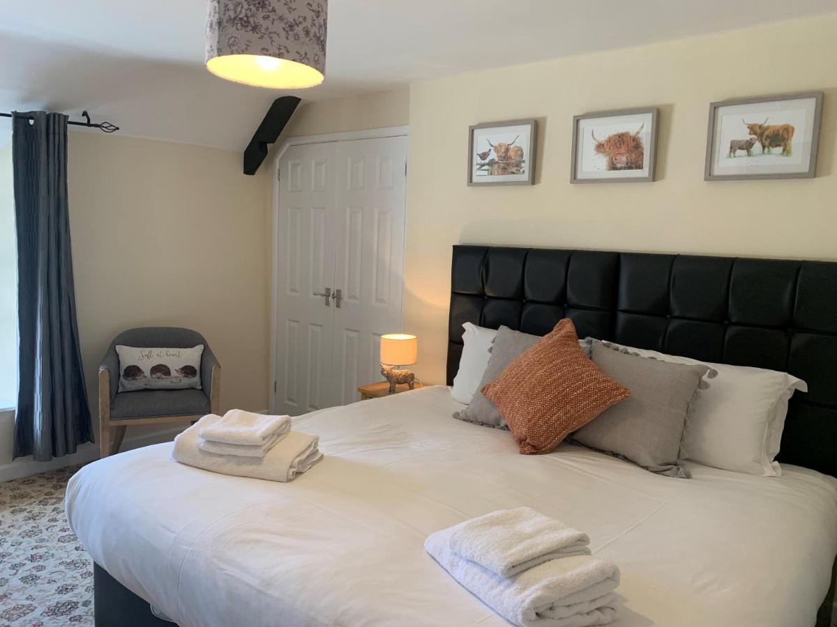 New - Dorchester 3*